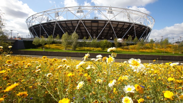 Londres 2012 apoya el medio ambiente